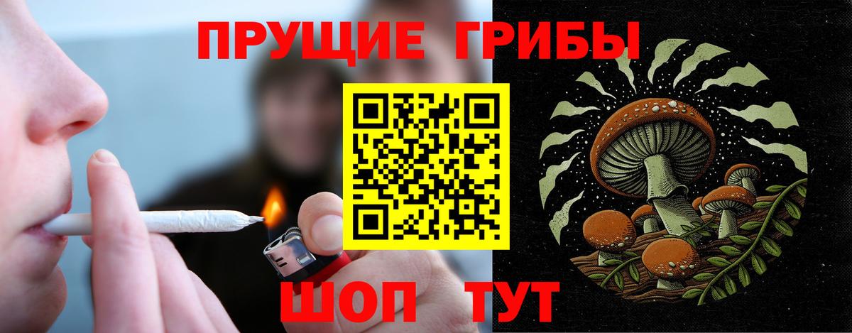 Галлюциногенные грибы MAGIC MUSHROOMS  как найти   Конаково  Вход с VPN 